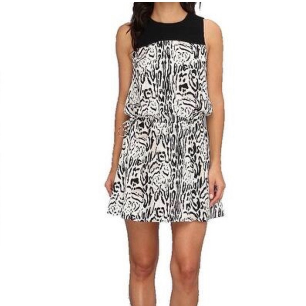 Silk Joie Dress